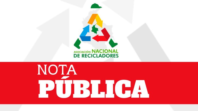 ANR Nota Publica 2023 La Situacion Del Mercado Y Los Recicladores De Oficio